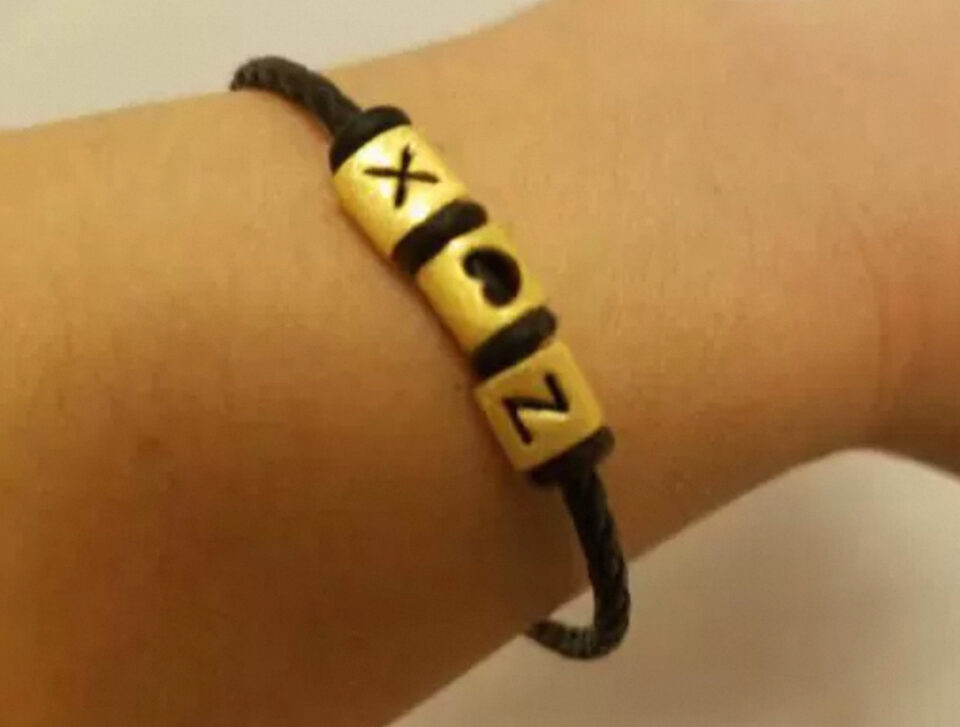 27E88C60 9D0F 4276 A387 E0353854FC92 1 201 a